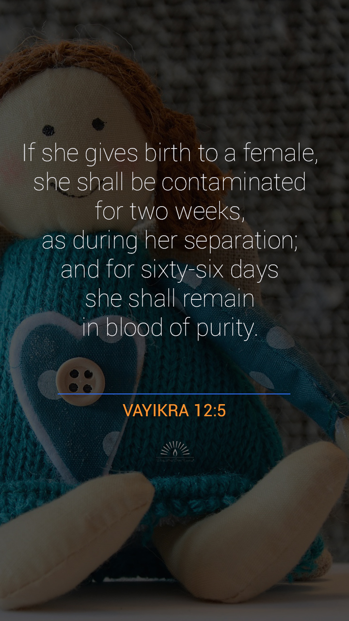 LEVITICUS Chapter 12 | Daily Holy Bible Reading