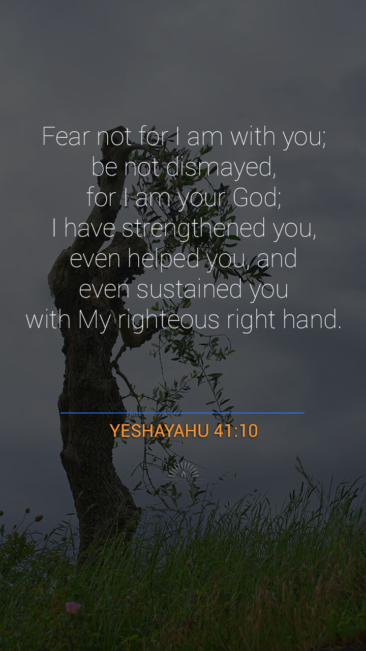 Isaiah Chapter 41 | Daily Holy Bible Reading