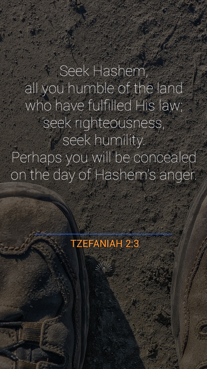 Zephaniah Chapter 2 | Daily Holy Bible Reading