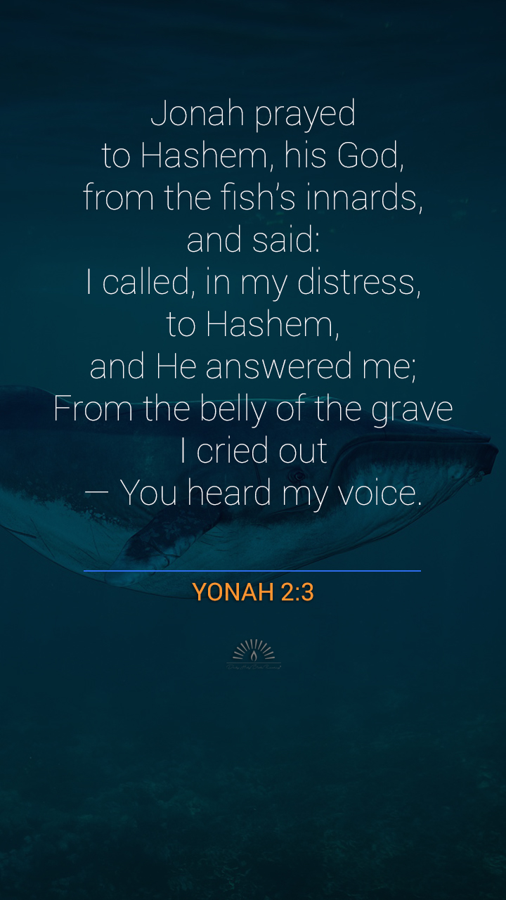 Jonah Chapter 2 | Daily Holy Bible Reading