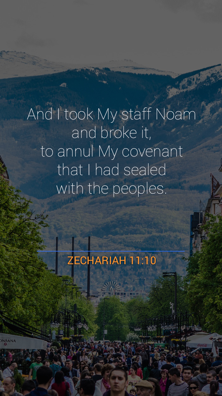 Zechariah Chapter 11 | Daily Holy Bible Reading